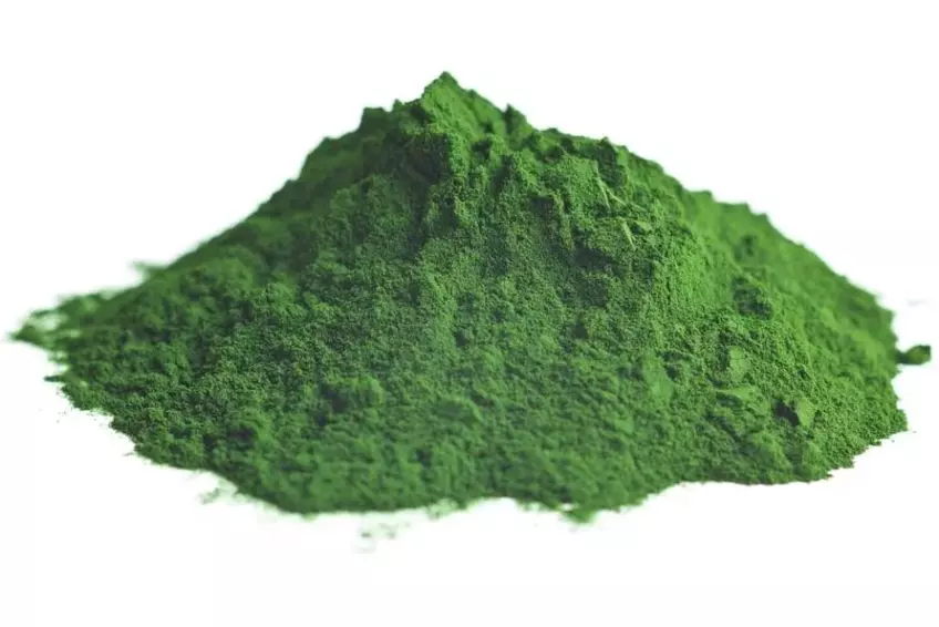 Chlorella Herb-Benefits, Side Effects, and Detox Insights