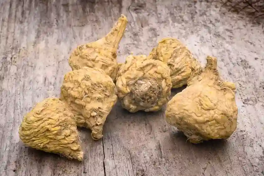 Maca Root Benefits - How Much Should I Take Daily?