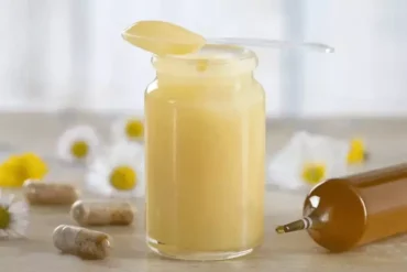 Royal Jelly Benefits Discover Its Powerful Health Advantages